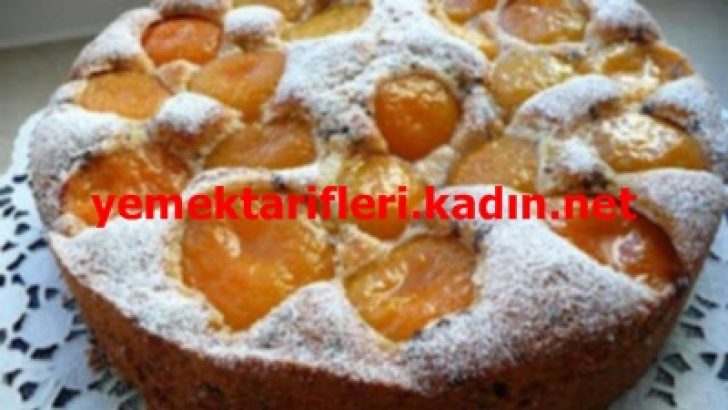 Kayısılı Pasta Tarifi