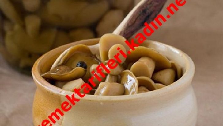 Mantar Turşusu Tarifi